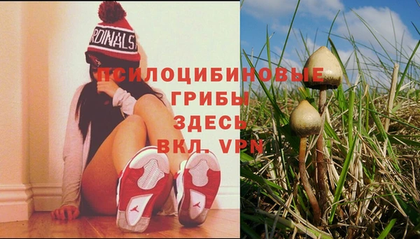 марки nbome Алзамай