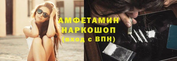 гидра Алексин