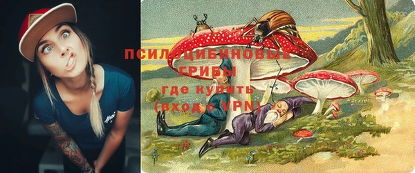spice Алексеевка