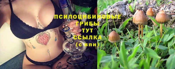 марки nbome Алзамай