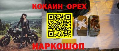прущие грибы Братск