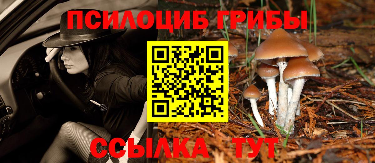 Псилоцибиновые грибы MAGIC MUSHROOMS  Псилоцибиновые грибы Psilocybe  Вход с VPN  Боровичи 